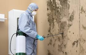 Best Mold Remediation for Healthcare Facilities  in Nanuet, NY